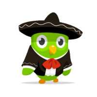 Duolingo Spanish