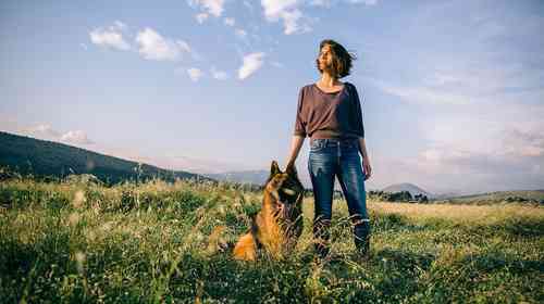 Dog Commands In German: How To Train A German Canine