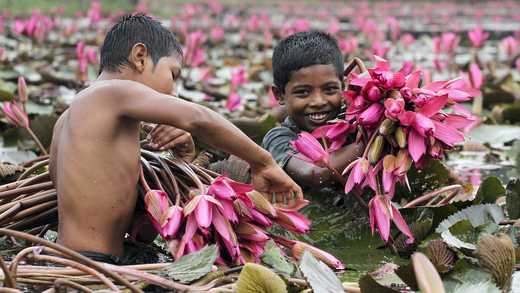 Where Is Bengali (Bangla) Spoken? It Isn't Just Bangladesh